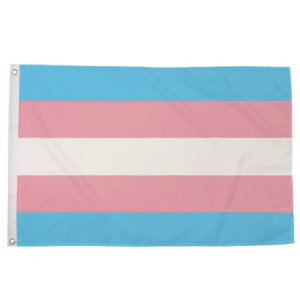 Transgender Flag (Large)
